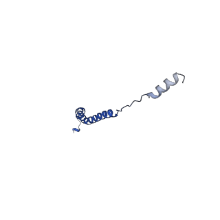 15559_8ap6_c_v1-0
Trypanosoma brucei mitochondrial F1Fo ATP synthase dimer
