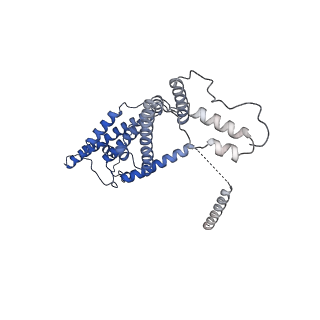 15559_8ap6_d_v1-0
Trypanosoma brucei mitochondrial F1Fo ATP synthase dimer