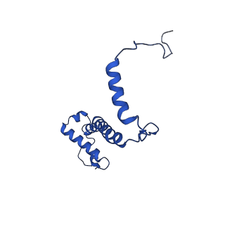 15559_8ap6_f_v1-0
Trypanosoma brucei mitochondrial F1Fo ATP synthase dimer