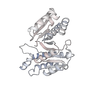 15559_8ap6_g_v1-0
Trypanosoma brucei mitochondrial F1Fo ATP synthase dimer