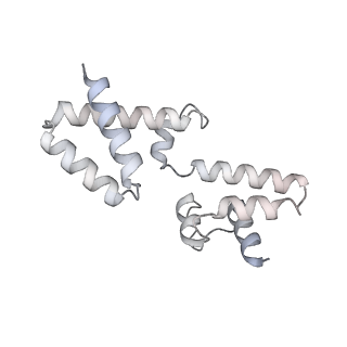 15559_8ap6_h_v1-0
Trypanosoma brucei mitochondrial F1Fo ATP synthase dimer