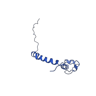 15559_8ap6_k_v1-0
Trypanosoma brucei mitochondrial F1Fo ATP synthase dimer