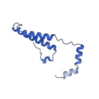 15559_8ap6_o_v1-0
Trypanosoma brucei mitochondrial F1Fo ATP synthase dimer