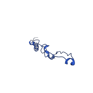 15559_8ap6_p_v1-0
Trypanosoma brucei mitochondrial F1Fo ATP synthase dimer