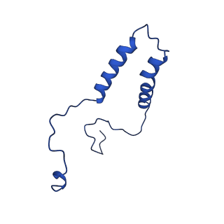 15559_8ap6_q_v1-0
Trypanosoma brucei mitochondrial F1Fo ATP synthase dimer