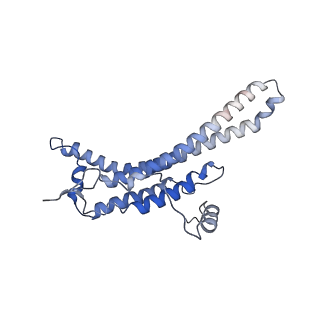 15560_8ap7_A_v1-0
membrane region of the Trypanosoma brucei mitochondrial ATP synthase dimer