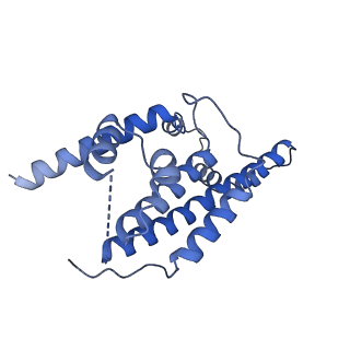 15560_8ap7_D_v1-0
membrane region of the Trypanosoma brucei mitochondrial ATP synthase dimer