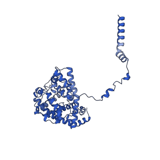 15560_8ap7_E_v1-0
membrane region of the Trypanosoma brucei mitochondrial ATP synthase dimer