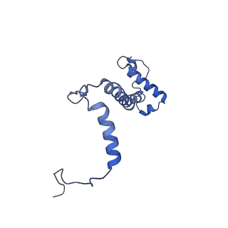 15560_8ap7_F_v1-0
membrane region of the Trypanosoma brucei mitochondrial ATP synthase dimer