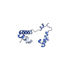 15560_8ap7_I_v1-0
membrane region of the Trypanosoma brucei mitochondrial ATP synthase dimer