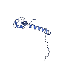15560_8ap7_K_v1-0
membrane region of the Trypanosoma brucei mitochondrial ATP synthase dimer