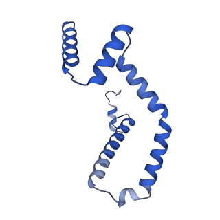 15560_8ap7_M_v1-0
membrane region of the Trypanosoma brucei mitochondrial ATP synthase dimer