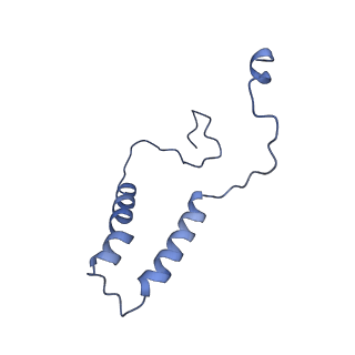 15560_8ap7_Q_v1-0
membrane region of the Trypanosoma brucei mitochondrial ATP synthase dimer