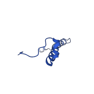 15560_8ap7_R_v1-0
membrane region of the Trypanosoma brucei mitochondrial ATP synthase dimer