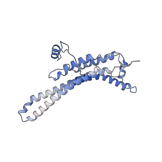 15560_8ap7_a_v1-0
membrane region of the Trypanosoma brucei mitochondrial ATP synthase dimer
