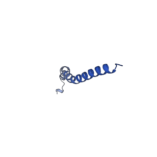 15560_8ap7_c_v1-0
membrane region of the Trypanosoma brucei mitochondrial ATP synthase dimer