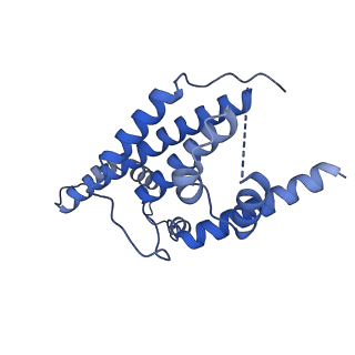 15560_8ap7_d_v1-0
membrane region of the Trypanosoma brucei mitochondrial ATP synthase dimer