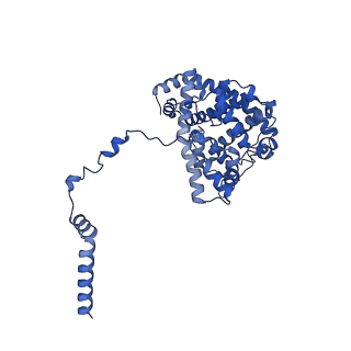 15560_8ap7_e_v1-0
membrane region of the Trypanosoma brucei mitochondrial ATP synthase dimer