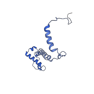 15560_8ap7_f_v1-0
membrane region of the Trypanosoma brucei mitochondrial ATP synthase dimer