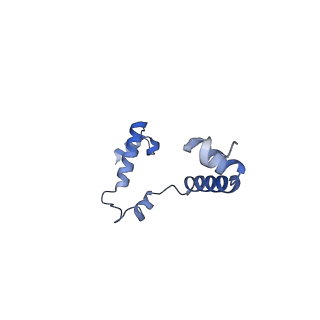 15560_8ap7_i_v1-0
membrane region of the Trypanosoma brucei mitochondrial ATP synthase dimer