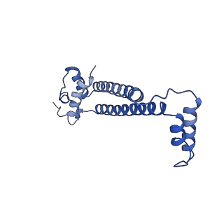 15560_8ap7_j_v1-0
membrane region of the Trypanosoma brucei mitochondrial ATP synthase dimer