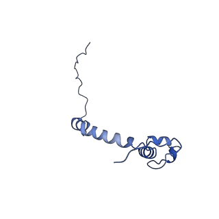 15560_8ap7_k_v1-0
membrane region of the Trypanosoma brucei mitochondrial ATP synthase dimer