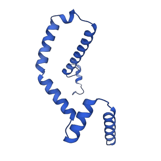 15560_8ap7_m_v1-0
membrane region of the Trypanosoma brucei mitochondrial ATP synthase dimer