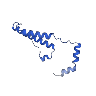 15560_8ap7_o_v1-0
membrane region of the Trypanosoma brucei mitochondrial ATP synthase dimer