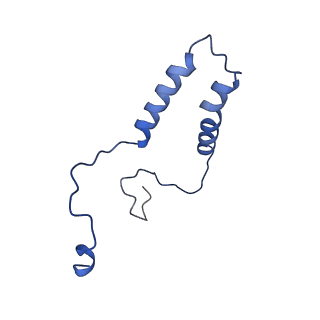 15560_8ap7_q_v1-0
membrane region of the Trypanosoma brucei mitochondrial ATP synthase dimer