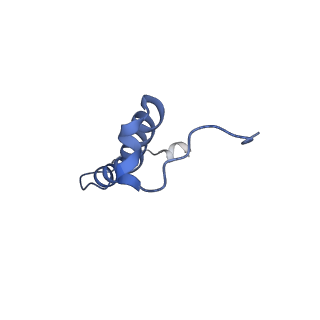 15560_8ap7_r_v1-0
membrane region of the Trypanosoma brucei mitochondrial ATP synthase dimer