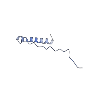 15561_8ap8_M_v1-0
Peripheral stalk of Trypanosoma brucei mitochondrial ATP synthase