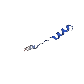 15561_8ap8_c_v1-0
Peripheral stalk of Trypanosoma brucei mitochondrial ATP synthase