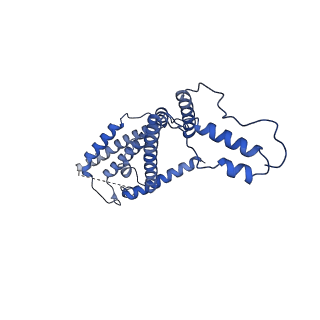 15561_8ap8_d_v1-0
Peripheral stalk of Trypanosoma brucei mitochondrial ATP synthase