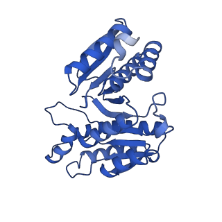 15561_8ap8_g_v1-0
Peripheral stalk of Trypanosoma brucei mitochondrial ATP synthase