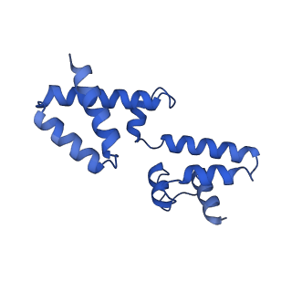 15561_8ap8_h_v1-0
Peripheral stalk of Trypanosoma brucei mitochondrial ATP synthase