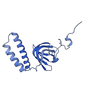 15562_8ap9_H_v1-0
rotor of the Trypanosoma brucei mitochondrial ATP synthase dimer