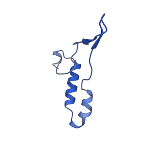 15562_8ap9_I_v1-0
rotor of the Trypanosoma brucei mitochondrial ATP synthase dimer