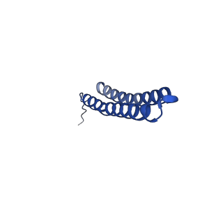 15562_8ap9_R_v1-0
rotor of the Trypanosoma brucei mitochondrial ATP synthase dimer
