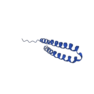 15562_8ap9_U_v1-0
rotor of the Trypanosoma brucei mitochondrial ATP synthase dimer