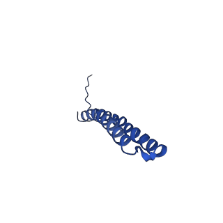 15562_8ap9_X_v1-0
rotor of the Trypanosoma brucei mitochondrial ATP synthase dimer