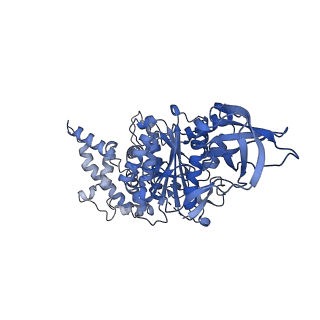 15563_8apa_A1_v1-0
rotational state 1a of the Trypanosoma brucei mitochondrial ATP synthase dimer