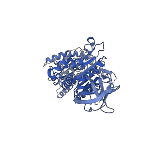 15563_8apa_B1_v1-0
rotational state 1a of the Trypanosoma brucei mitochondrial ATP synthase dimer