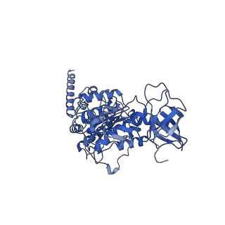 15563_8apa_D1_v1-0
rotational state 1a of the Trypanosoma brucei mitochondrial ATP synthase dimer