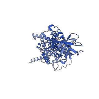 15563_8apa_E1_v1-0
rotational state 1a of the Trypanosoma brucei mitochondrial ATP synthase dimer