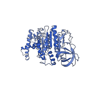 15563_8apa_F1_v1-0
rotational state 1a of the Trypanosoma brucei mitochondrial ATP synthase dimer