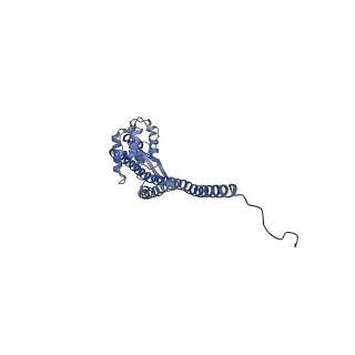 15563_8apa_G1_v1-0
rotational state 1a of the Trypanosoma brucei mitochondrial ATP synthase dimer