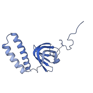 15563_8apa_H1_v1-0
rotational state 1a of the Trypanosoma brucei mitochondrial ATP synthase dimer