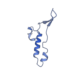 15563_8apa_I1_v1-0
rotational state 1a of the Trypanosoma brucei mitochondrial ATP synthase dimer