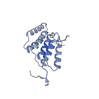 15563_8apa_K1_v1-0
rotational state 1a of the Trypanosoma brucei mitochondrial ATP synthase dimer