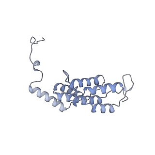 15563_8apa_L1_v1-0
rotational state 1a of the Trypanosoma brucei mitochondrial ATP synthase dimer